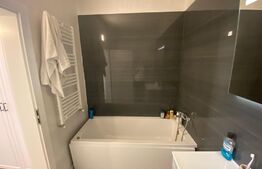 Apartament 3 camere de lux, centrala termica, aer conditionat, zona Calea Severin