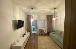 Apartament 3 camere de lux, centrala termica, aer conditionat, zona Calea Severin