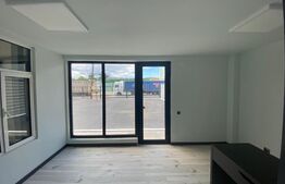 Hala industriala 450 mp, teren 400 mp, parcare privata, Severinului