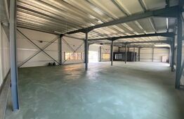Hala industriala 450 mp, teren 400 mp, parcare privata, Severinului
