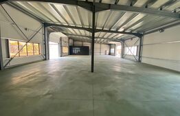 Hala industriala 450 mp, teren 400 mp, parcare privata, Severinului