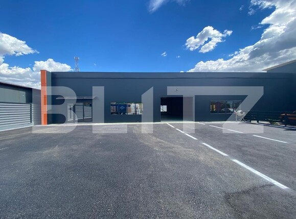 Spațiu industrial de închiriat Vest - 95107SII | BLITZ Craiova | Poza1