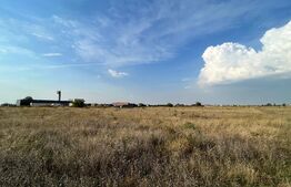 Teren intravilan 15.039 mp, Ghercești, zona Aeroport