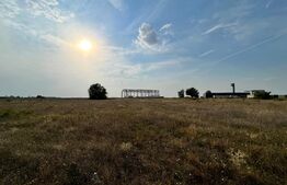 Teren intravilan 15.039 mp, Ghercești, zona Aeroport