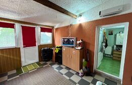 Casă pe parter, 63 mp, teren 181 mp, Brestei