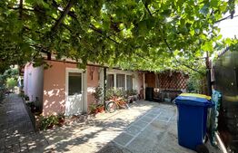 Casă pe parter, 63 mp, teren 181 mp, Brestei