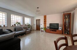 Casă P+E 140 mp utili, 403 mp teren, Plaiul Vulcănești