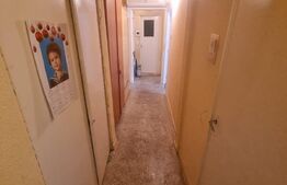 Apartament 3 camere, Lapus Arges(Zona Trenul Pierdut)