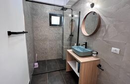 Studio modern, 45 mp, curte proprie, zona Calea Severin 