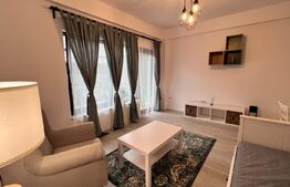 Studio modern, 45 mp, curte proprie, zona Calea Severin 
