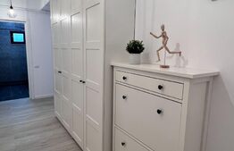 Studio modern, 45 mp, curte proprie, zona Calea Severin 