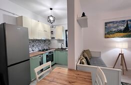 Studio modern, 45 mp, curte proprie, zona Calea Severin 