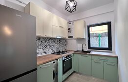 Studio modern, 45 mp, curte proprie, zona Calea Severin 