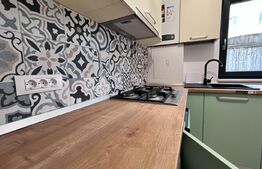 Studio modern, 45 mp, curte proprie, zona Calea Severin 