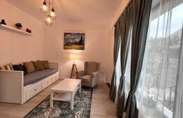 Studio modern, 45 mp, curte proprie, zona Calea Severin 