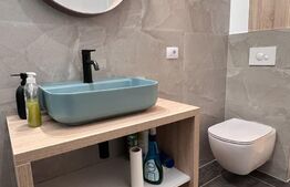 Studio modern, 45 mp, curte proprie, zona Calea Severin 