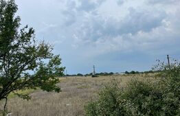 Teren intravilan 7500 mp, Carcea