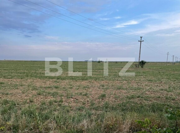 Teren de vânzare Carcea  - 95496TV | BLITZ Craiova | Poza2