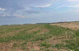 Teren intravilan 1200 mp, Carcea