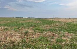 Teren intravilan 1200 mp, Carcea