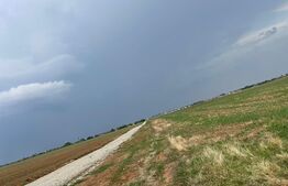 Teren intravilan 1200 mp, Carcea