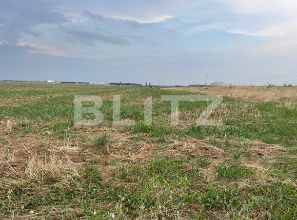 Teren de vânzare Carcea  - 95505TV | BLITZ Craiova | Poza2