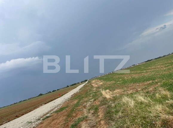 Teren de vânzare Carcea  - 95505TV | BLITZ Craiova | Poza1