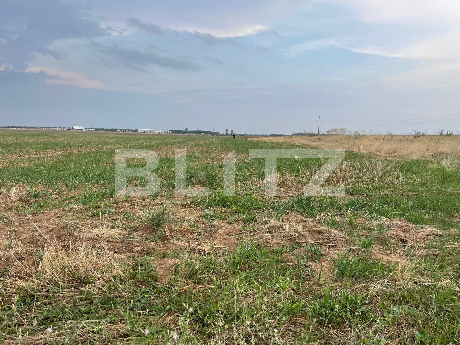 Teren de vânzare Carcea  - 95505TV | BLITZ Craiova | Poza2