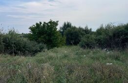 Teren extravilan 1300, zona Carcea 