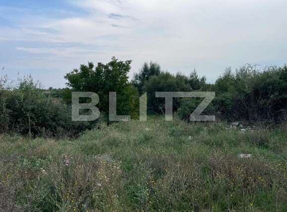 Teren de vânzare Carcea  - 95507TV | BLITZ Craiova | Poza1