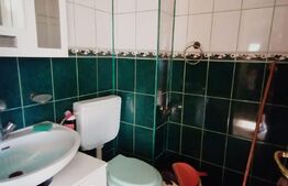 Apartament de 3 camere, 78 mp, pet friendly, centrala termica, zona 1 Mai