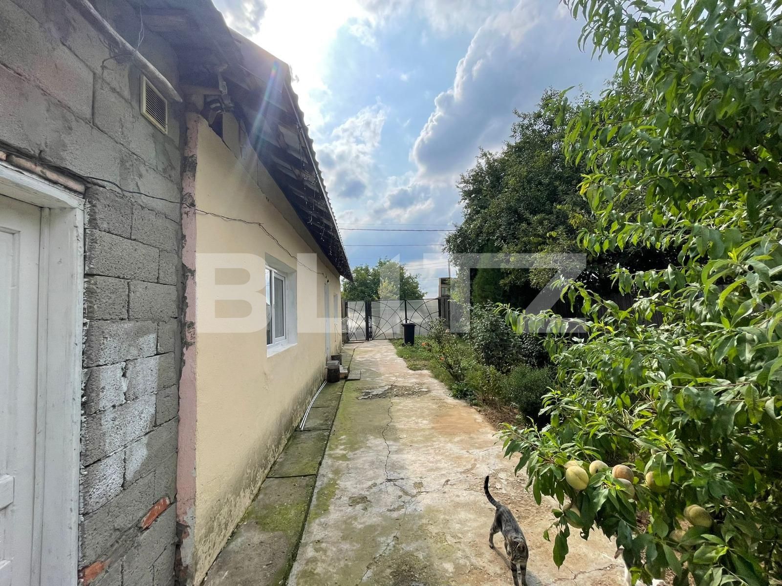 Casa de vânzare 2 camere Bariera Valcii - 95603CV | BLITZ Craiova | Poza2