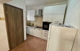 Casa 3 camere, centrala termica, curte cu foisor, alee privata, zona Damila