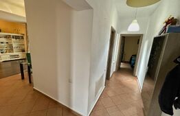 Casa 3 camere, centrala termica, curte cu foisor, alee privata, zona Damila