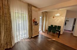 Casa 3 camere, centrala termica, curte cu foisor, alee privata, zona Damila