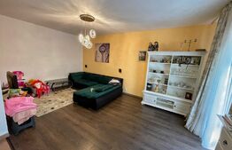 Casa 3 camere, centrala termica, curte cu foisor, alee privata, zona Damila