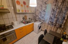 Apartament 2 camere, 46 mp, zona George Enescu(Restaurant Daniel's)