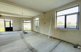 Casă individuală cu 6 camere, 250 mp și 664 mp teren, Cârcea