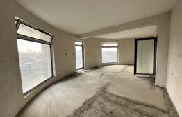 Casă individuală cu 6 camere, 250 mp și 664 mp teren, Cârcea