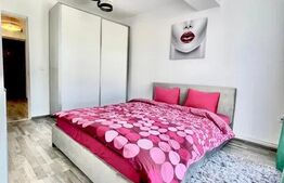 Apartament 2 camere, centrala proprie, aer conditionat, Calea Severinului