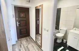 Apartament 2 camere, centrala proprie, aer conditionat, Calea Severinului