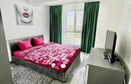 Apartament 2 camere, centrala proprie, aer conditionat, Calea Severinului