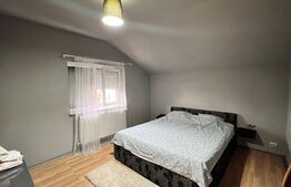 Casa 4 camere, 170 mp, 150 mp teren, piscina, Ultracentrala