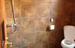 Casa 4 camere, 170 mp, 150 mp teren, piscina, Ultracentrala