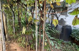 Oferta ! Casa individuala, 227 mp utili, teren 387 mp, deschidere 18 ml, Catargiu