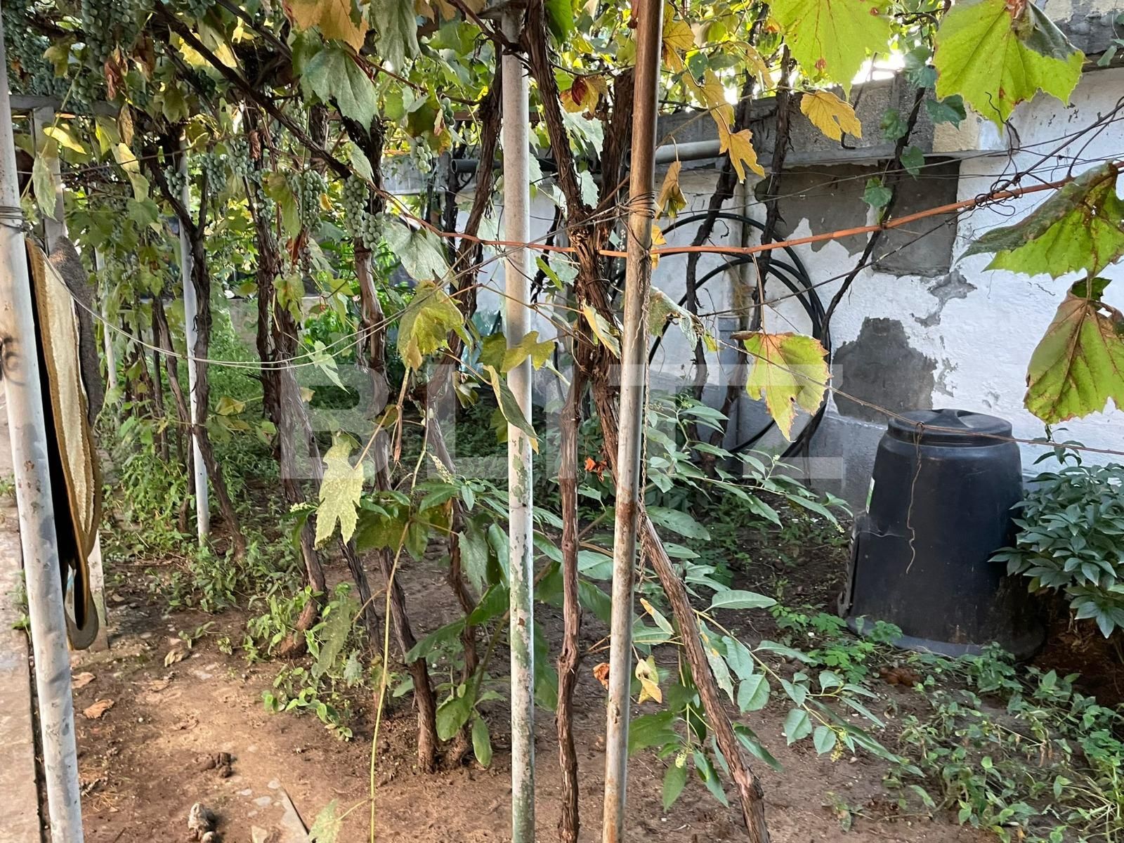 Casa de vânzare 5 camere Lascar Catargiu - 95890CV | BLITZ Craiova | Poza17