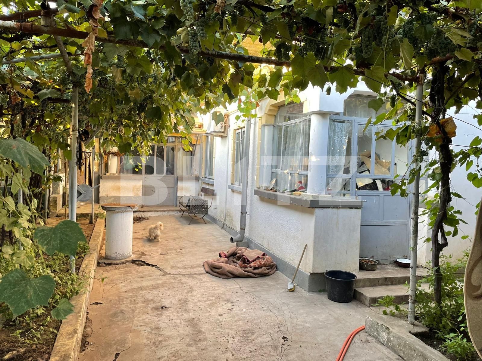 Casa de vânzare 5 camere Lascar Catargiu - 95890CV | BLITZ Craiova | Poza19