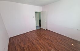 Apartament 2 camere, 45 mp, etaj intermediar, Zona Brazda