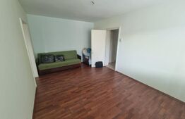 Apartament 2 camere, 45 mp, etaj intermediar, Zona Brazda