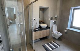 Dis 15 August/Penthouse modern, 100 mp, 3 camere, zona Calea Bucuresti